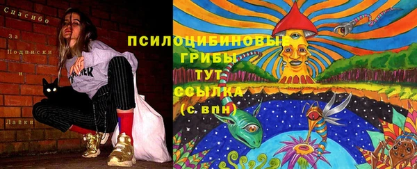 apvp Медвежьегорск