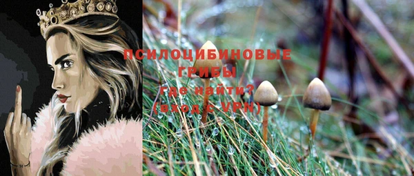 прущий лед Мегион